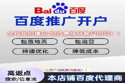 某公司通过百度SEM竞价推广实现快速市场扩张的秘诀